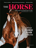 The Horse Current Issue